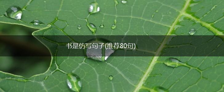 书是仿写句子(推荐80句),第1张