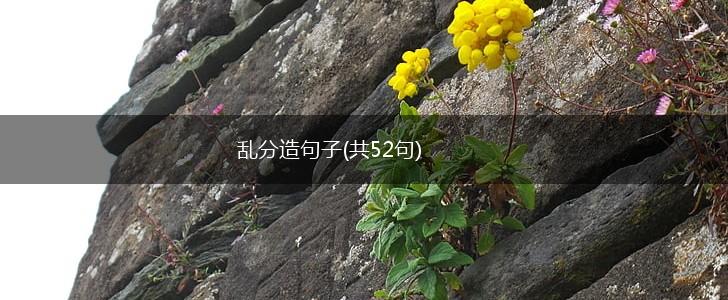 乱分造句子(共52句),第1张