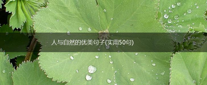 人与自然的优美句子(实用50句),第1张