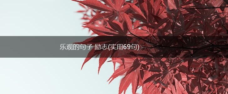乐观的句子 励志(实用69句),第1张