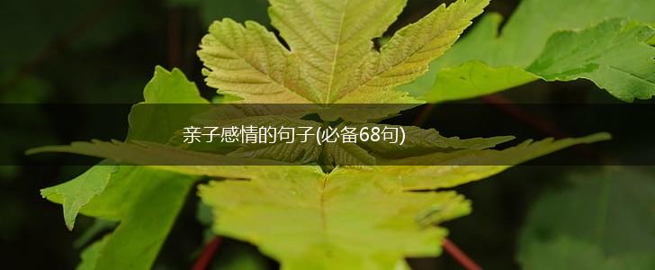 亲子感情的句子(必备68句),第1张