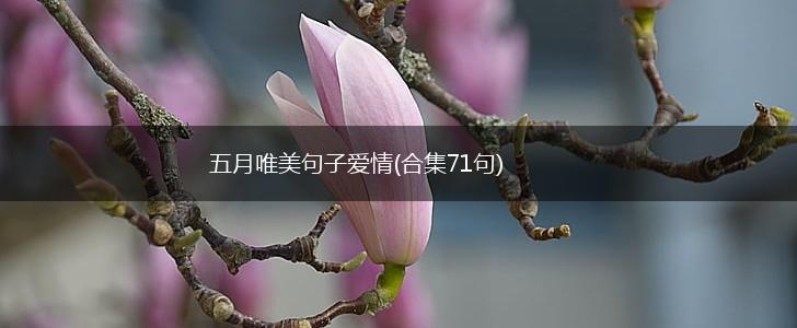 五月唯美句子爱情(合集71句),第1张