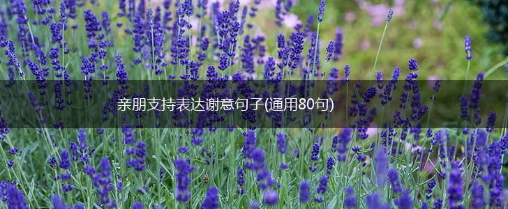 亲朋支持表达谢意句子(通用80句),第1张