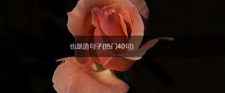 也是造句子(热门40句),第1张