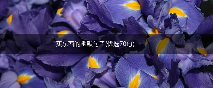 买东西的幽默句子(优选70句),第1张