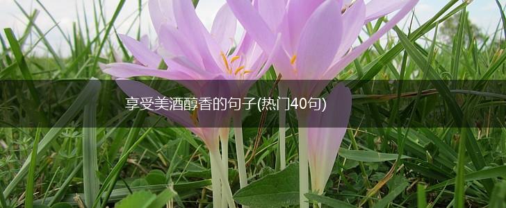 享受美酒醇香的句子(热门40句),第1张