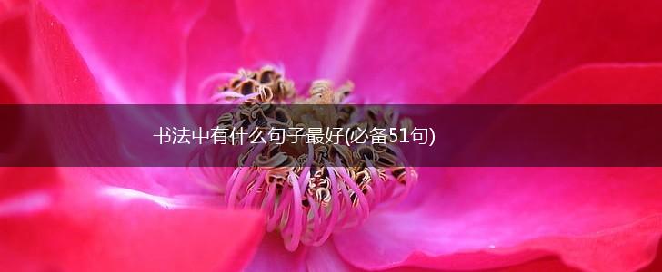 书法中有什么句子最好(必备51句),第1张