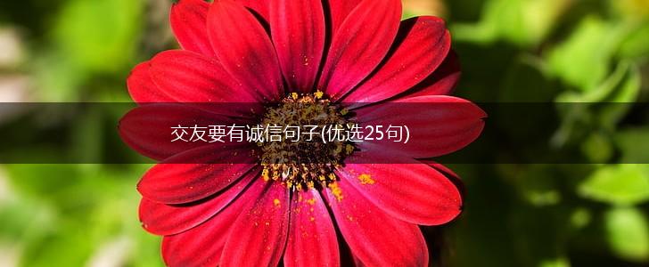 交友要有诚信句子(优选25句),第1张