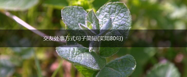 交友处事方式句子简短(实用80句),第1张
