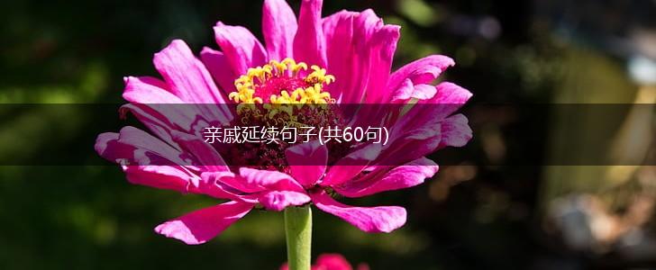 亲戚延续句子(共60句),第1张