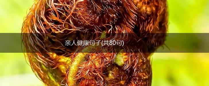 亲人健康句子(共80句),第1张