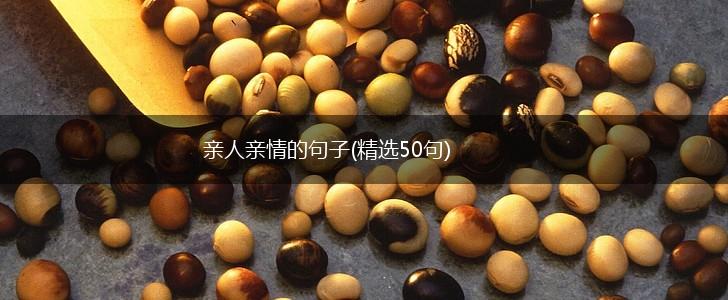 亲人亲情的句子(精选50句),第1张
