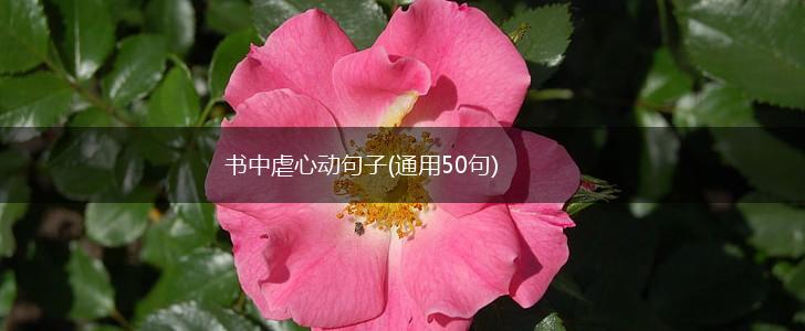 书中虐心动句子(通用50句),第1张