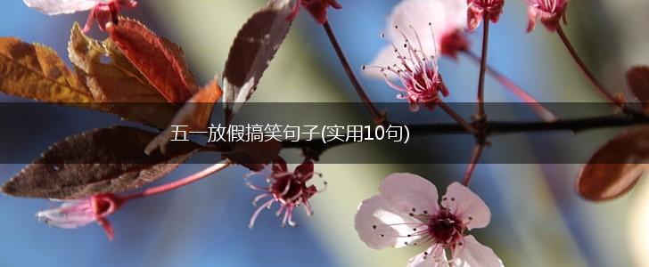 五一放假搞笑句子(实用10句),第1张