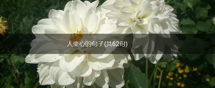 人变心的句子(共62句),第1张