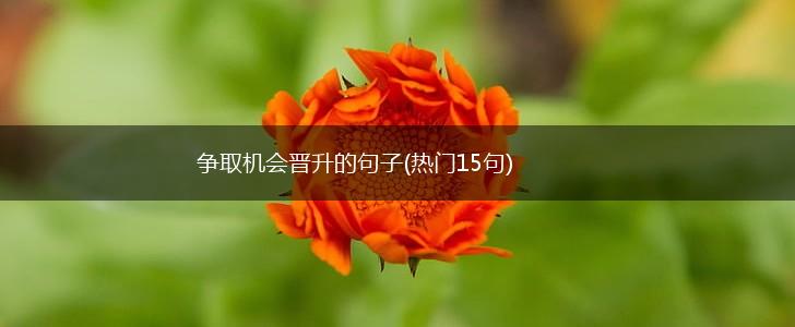 争取机会晋升的句子(热门15句),第1张