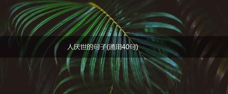 人厌世的句子(通用40句),第1张