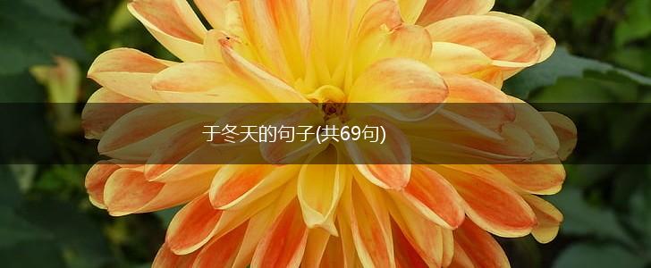 于冬天的句子(共69句),第1张