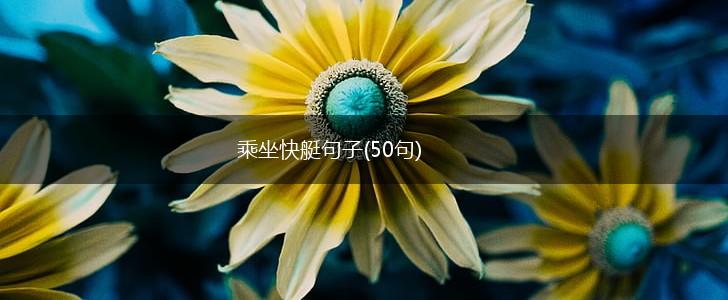 乘坐快艇句子(50句),第1张