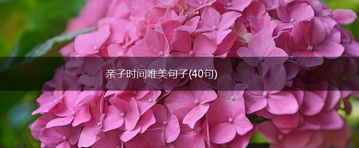 亲子时间唯美句子(40句),第1张