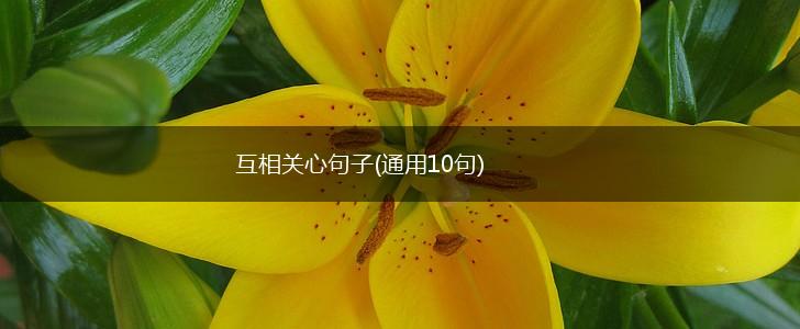 互相关心句子(通用10句),第1张
