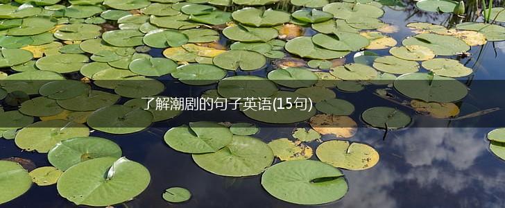 了解潮剧的句子英语(15句),第1张