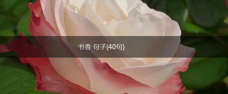 书香 句子(40句),第1张