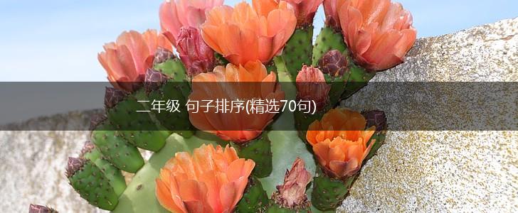 二年级 句子排序(精选70句),第1张