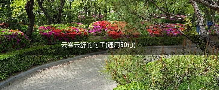 云卷云舒的句子(通用50句),第1张