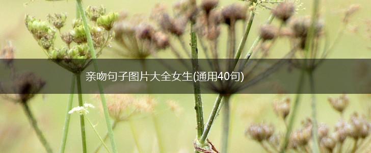 亲吻句子图片大全女生(通用40句),第1张