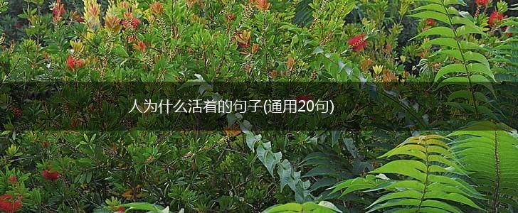 人为什么活着的句子(通用20句),第1张