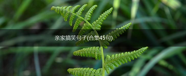 亲家搞笑句子(合集45句),第1张