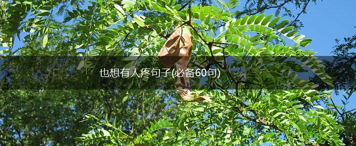 也想有人疼句子(必备60句),第1张