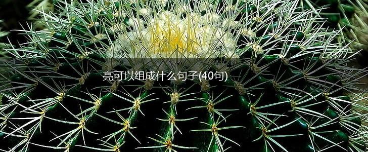 亮可以组成什么句子(40句),第1张