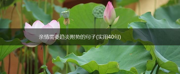 亲情需要趋炎附势的句子(实用40句),第1张
