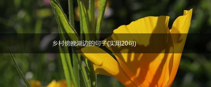 乡村傍晚湖边的句子(实用20句),第1张