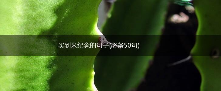 买到米纪念的句子(必备50句),第1张