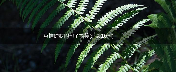 互推护肤的句子搞笑(汇总10句),第1张