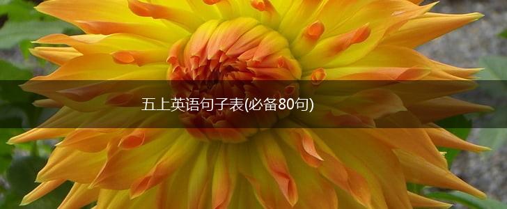 五上英语句子表(必备80句),第1张