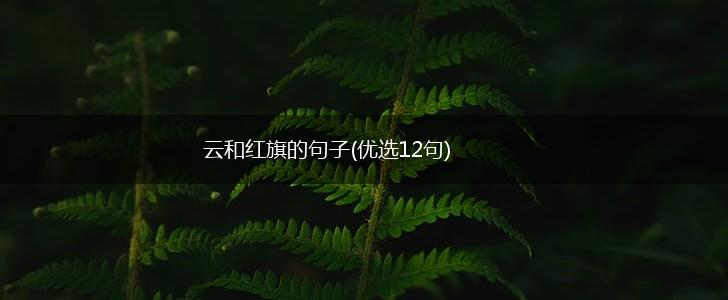 云和红旗的句子(优选12句),第1张