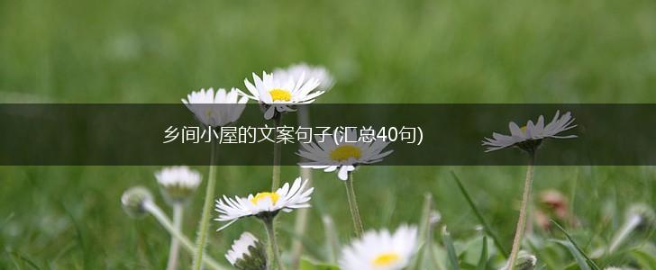 乡间小屋的文案句子(汇总40句),第1张