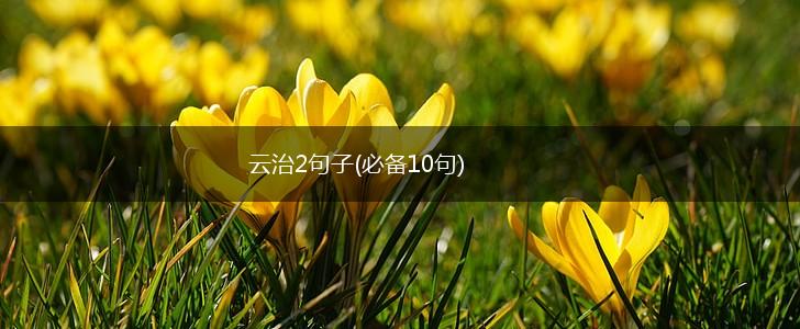 云治2句子(必备10句),第1张