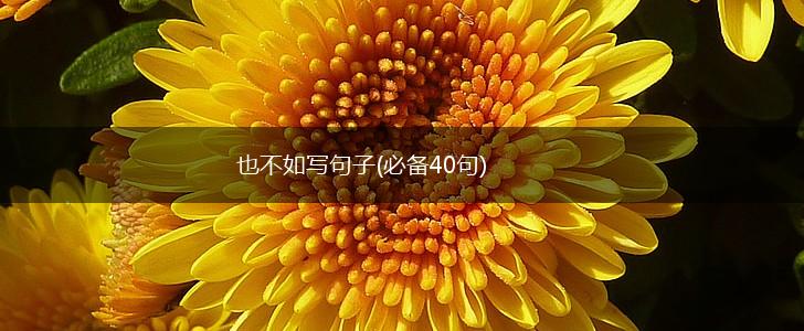 也不如写句子(必备40句),第1张