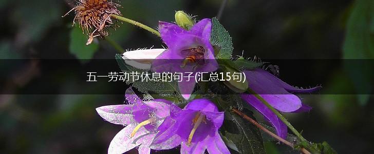五一劳动节休息的句子(汇总15句),第1张