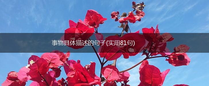 事物具体描述的句子(实用81句),第1张