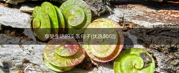 享受生活的头条句子(优选80句),第1张