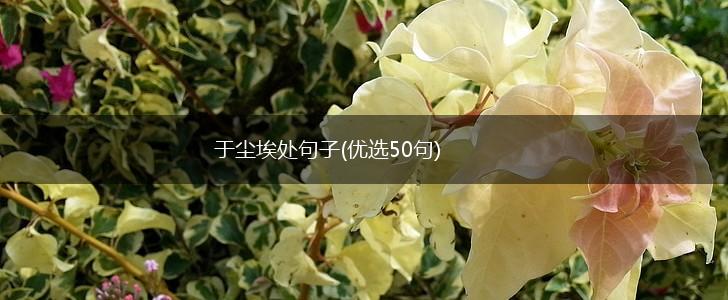 于尘埃处句子(优选50句),第1张