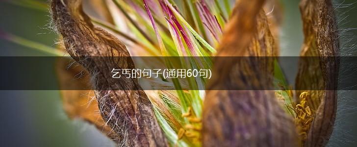 乞丐的句子(通用60句),第1张