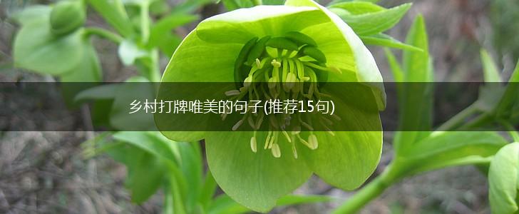 乡村打牌唯美的句子(推荐15句),第1张