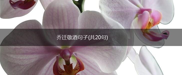 乔迁敬酒句子(共20句),第1张